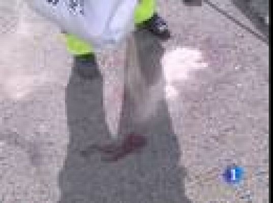  - Juicio por atropello a 14 ciclistas