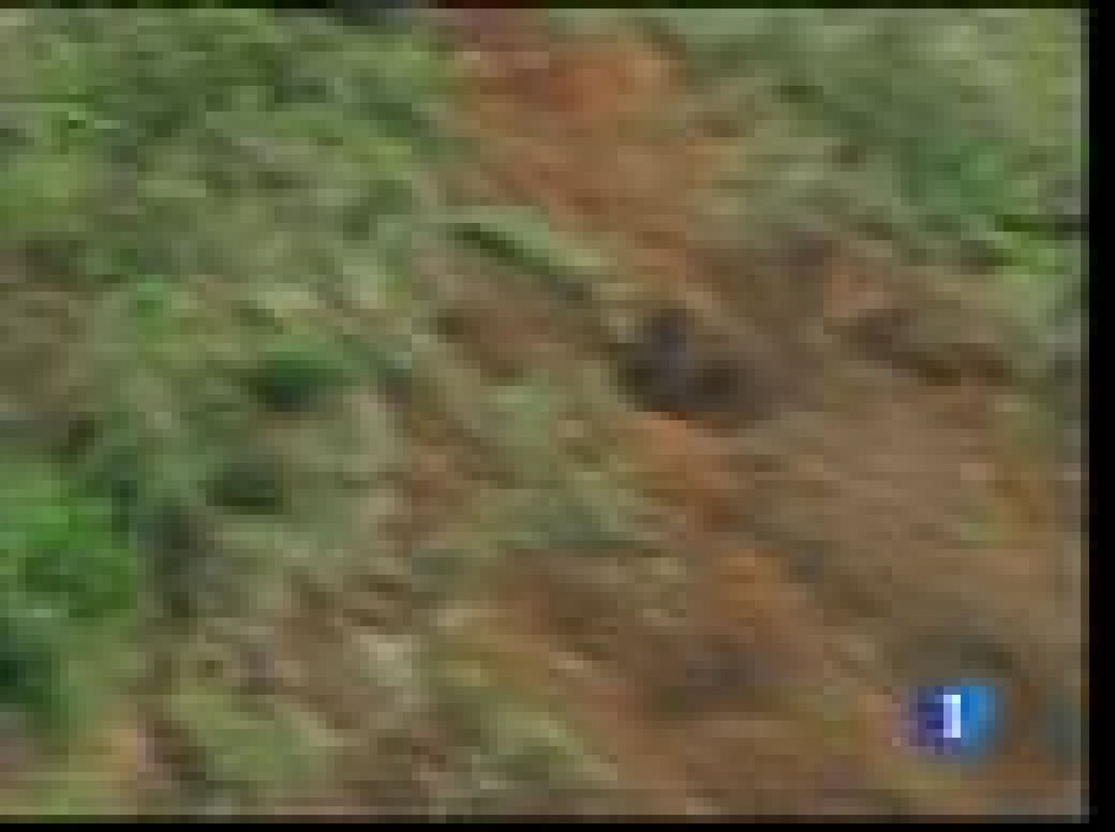 Grabación de un impresionante desprendimiento de tierra | Ver