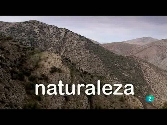 Biodiario - Almanaque ambiental