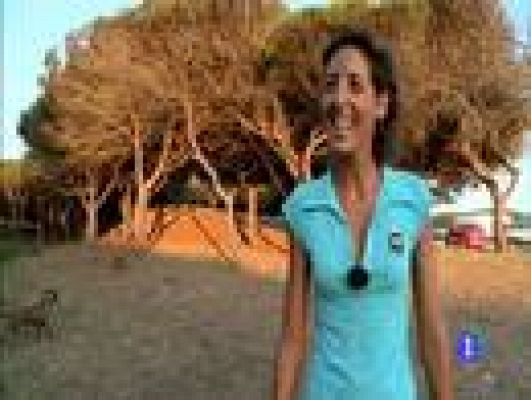 Destino: España - Andalucía - Flor