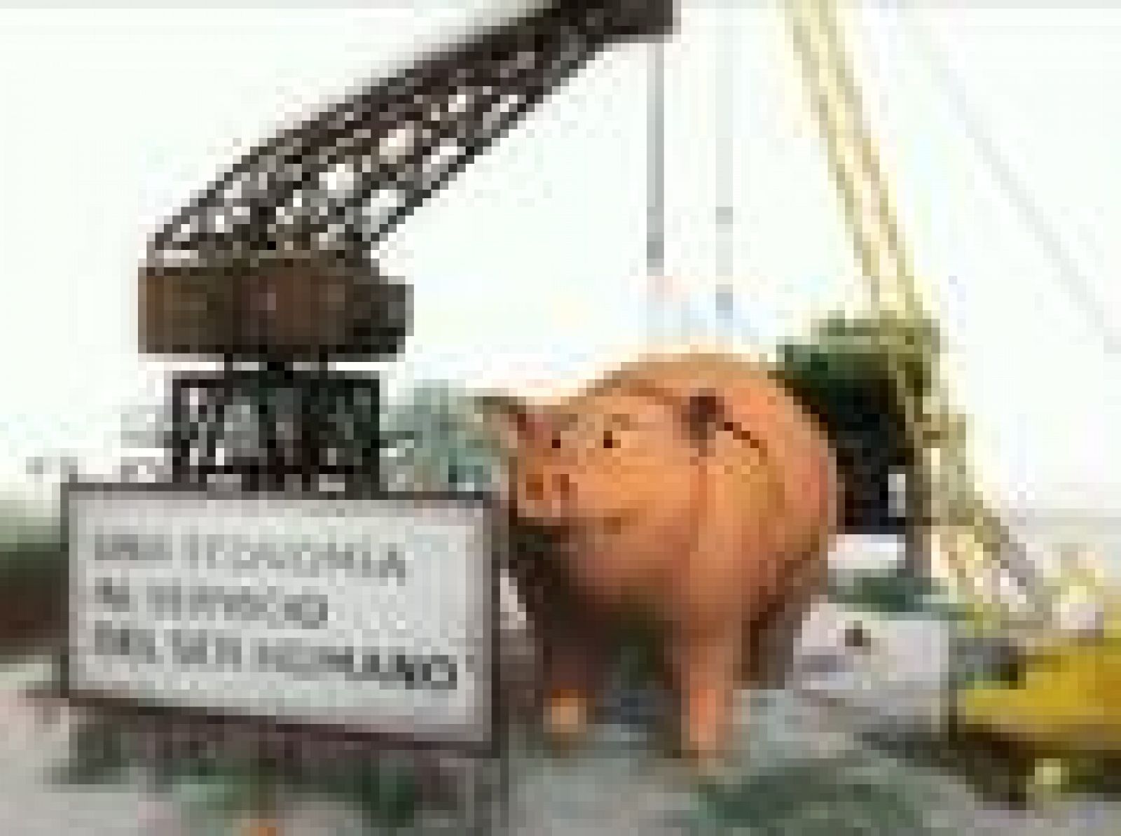 Una economía al servicio del ser humano (01/10/2010)