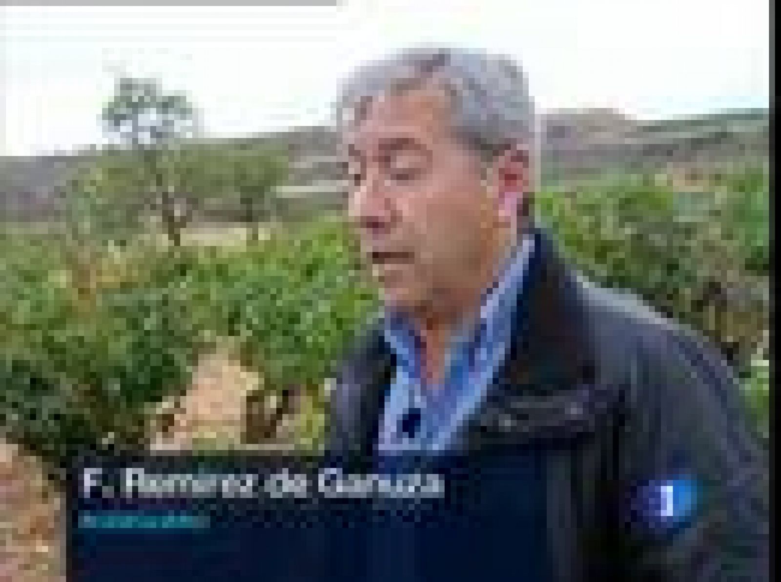 Cuatro  vinos españoles, con 100 puntos de Parker. En la Rioja se suma a los mejores vinos del mundo el  vino Gran Reserva 2004 de Remírez de Ganuza