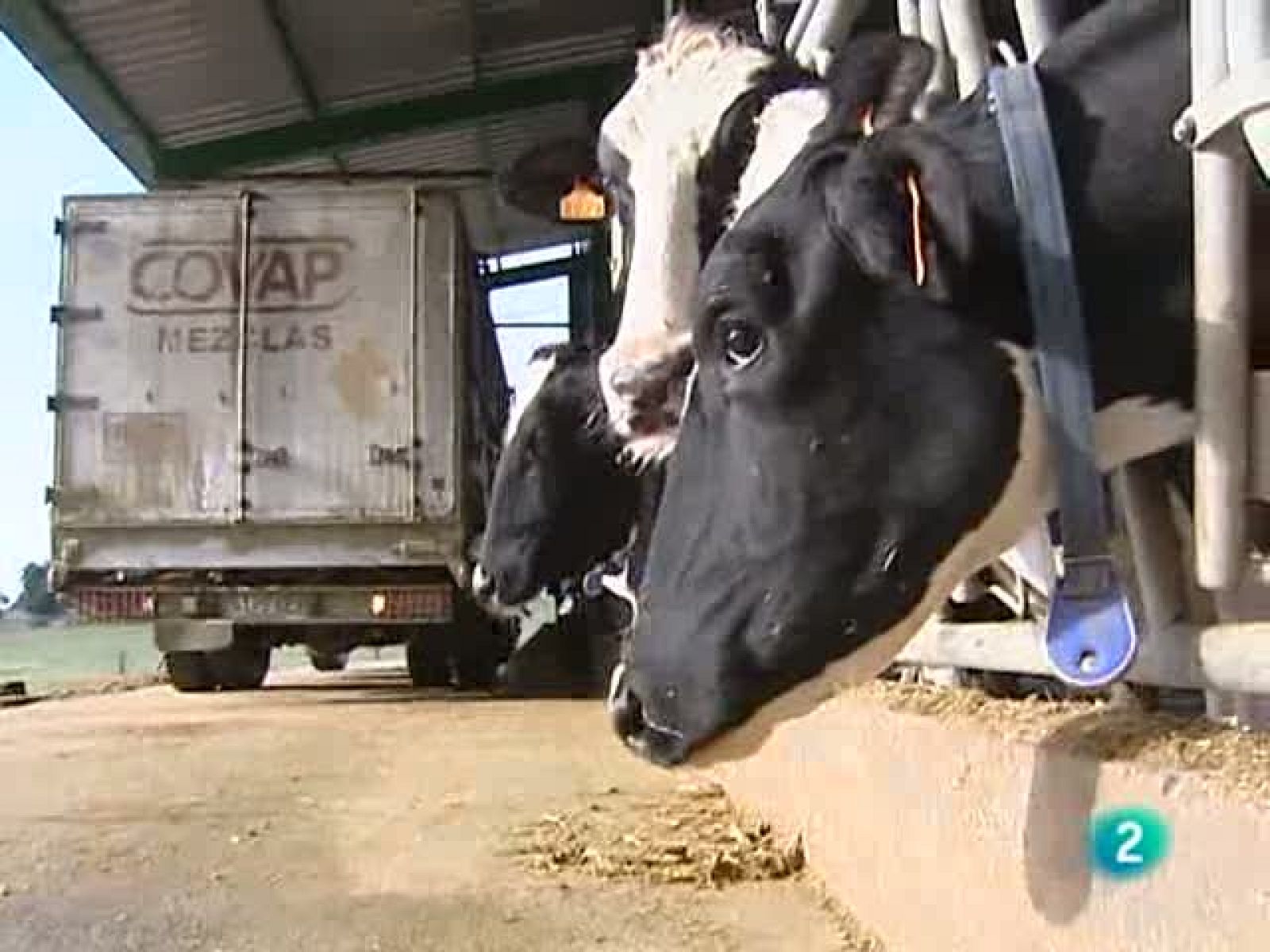 Agrosfera  (02/10/10)