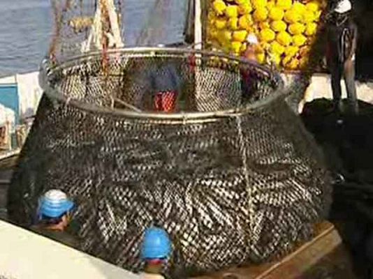  - Se cumple un año desde que el atunero Alakrana fuera secuestrado