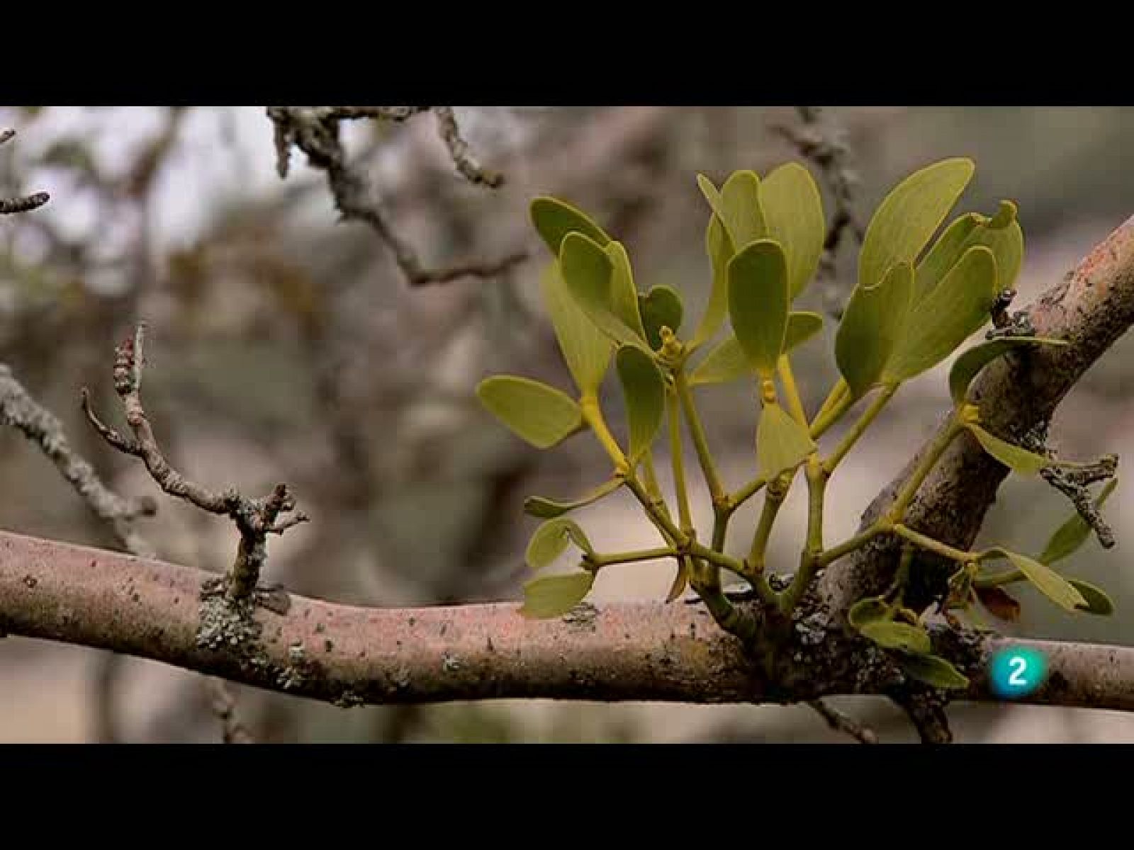 Biodiario (02/10/10)