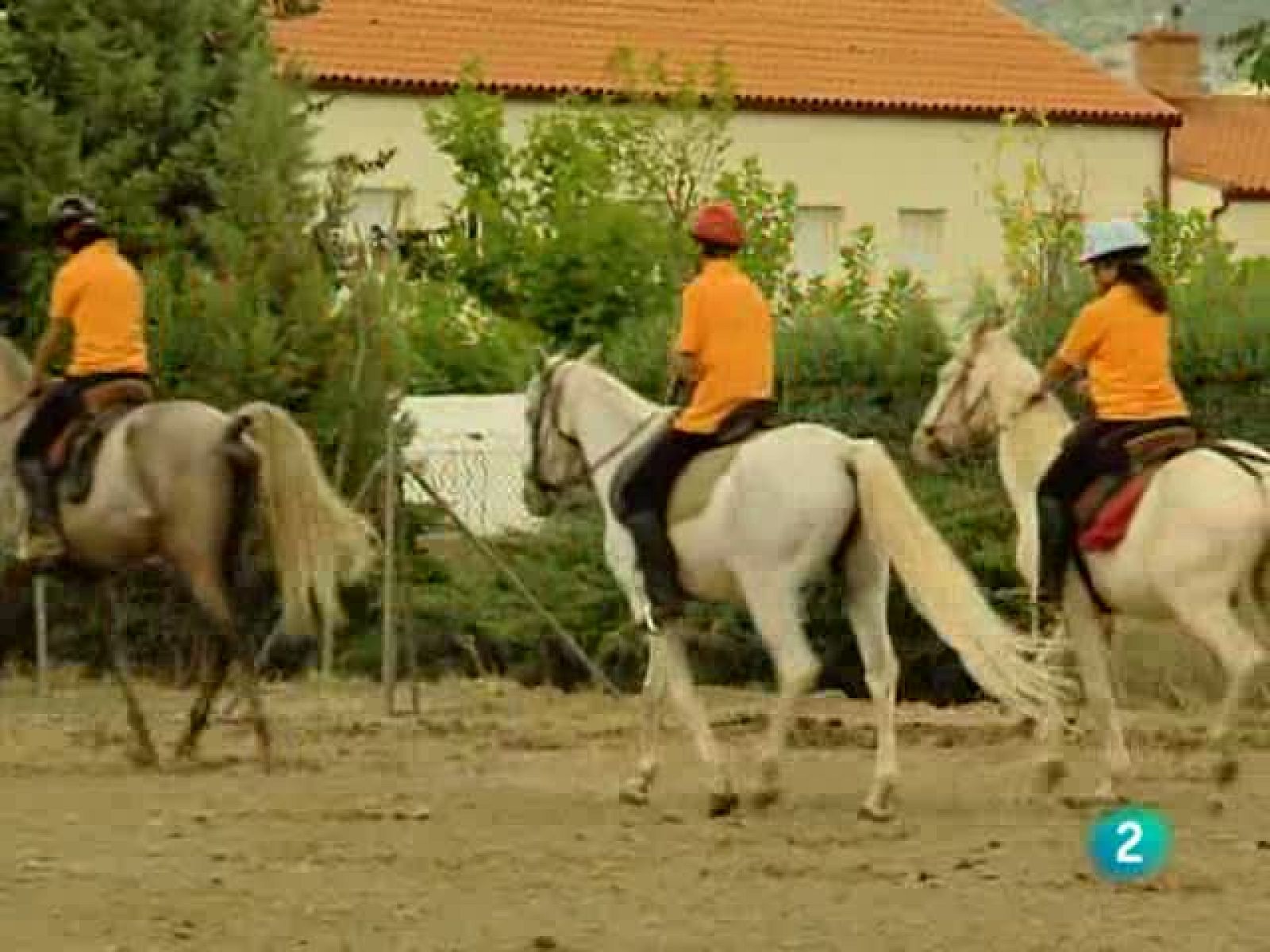 España En Comunidad (03/10/10)