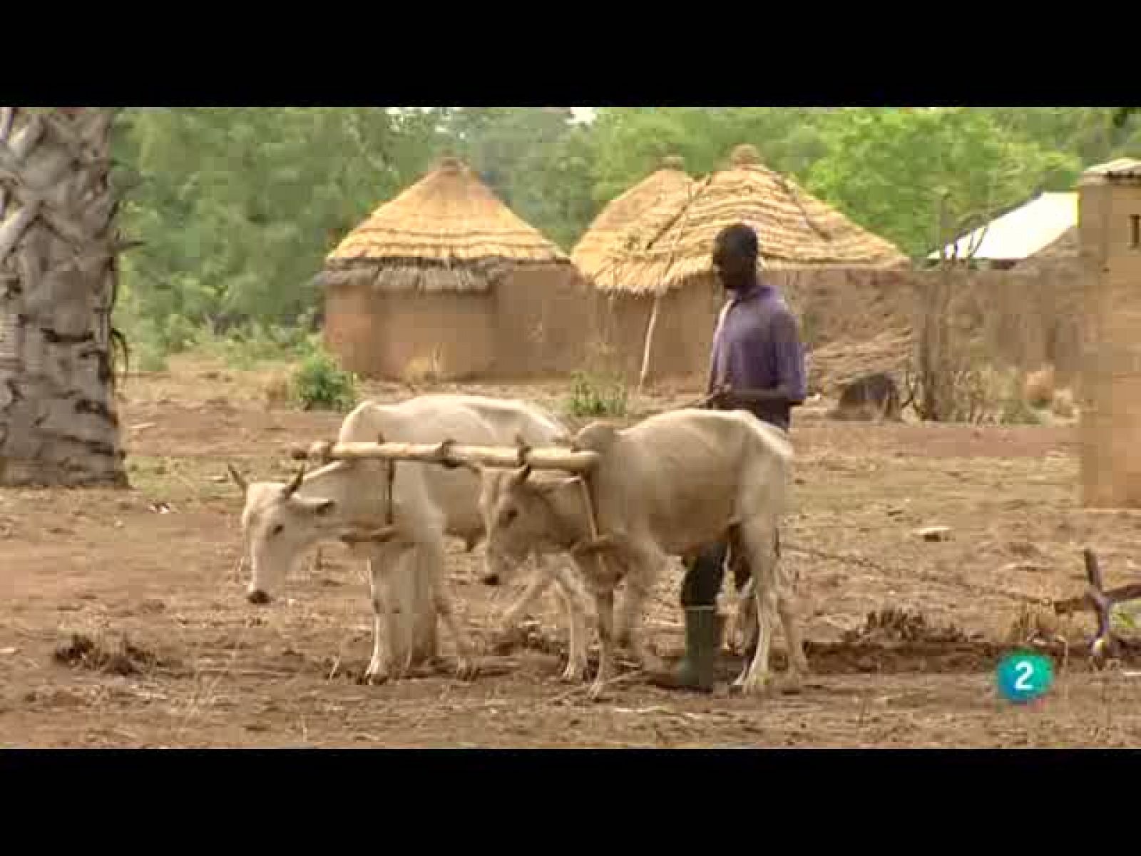 Pueblo De Dios (03/10/10)