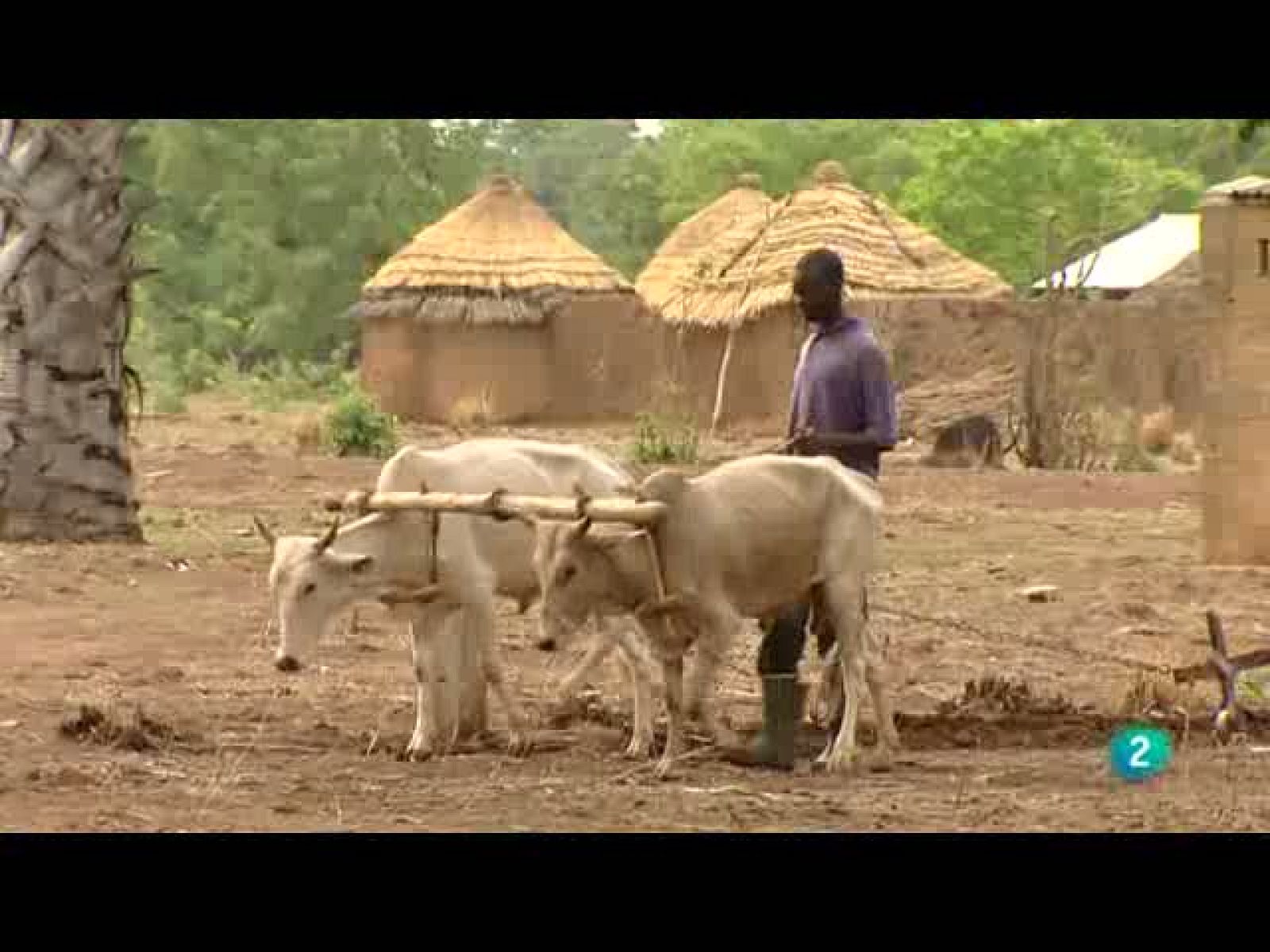 Pueblo De Dios (03/10/10) 