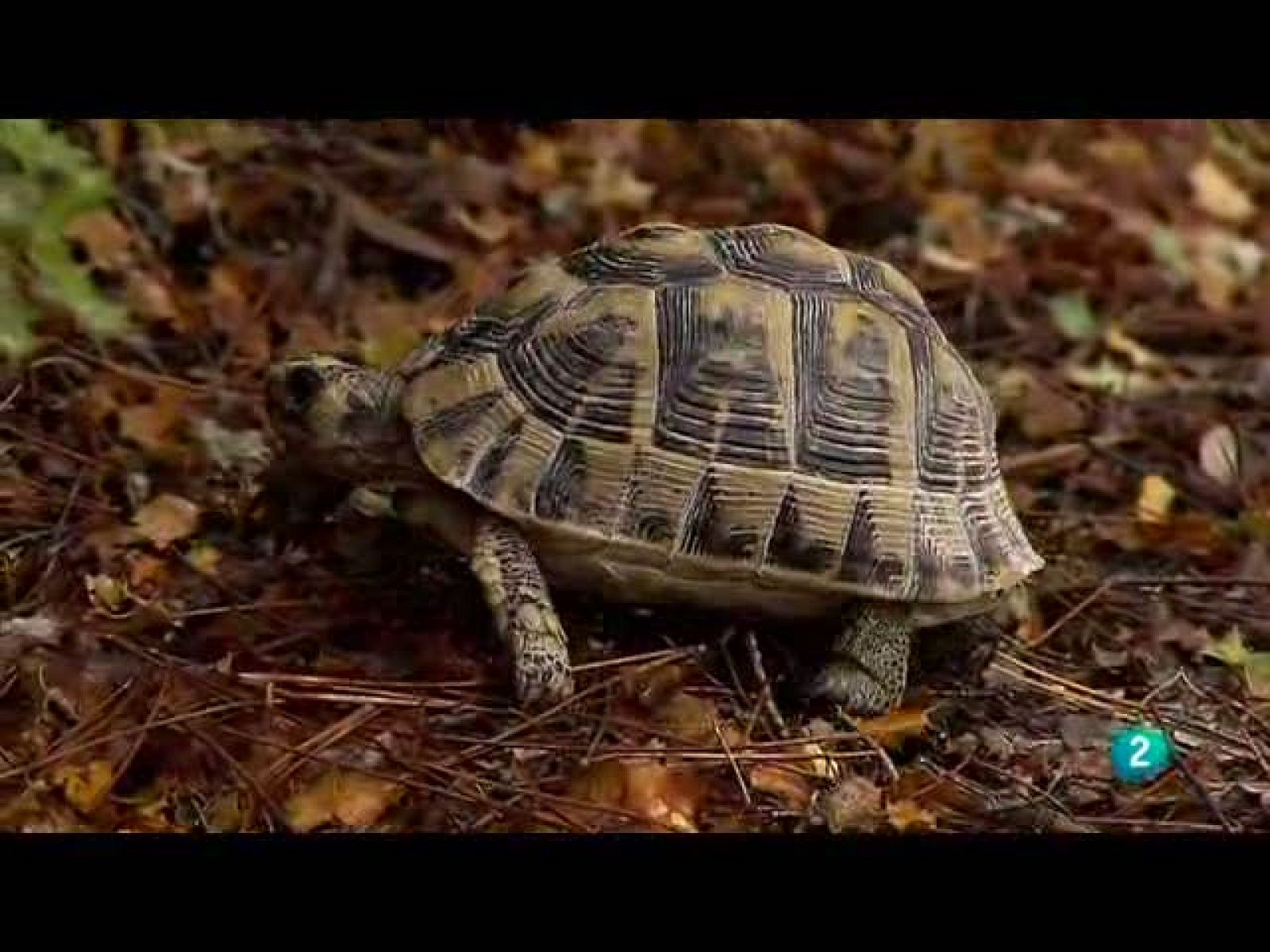 Biodiario (03/10/10)