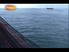 Crónicas - La mar de anchoas. Pescando bocarte en el Cantábrico, cinco años después
