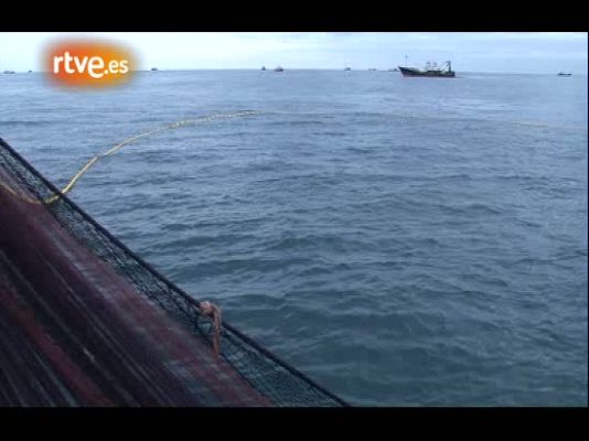 Crónicas - Pescando bocarte en el Cantábrico