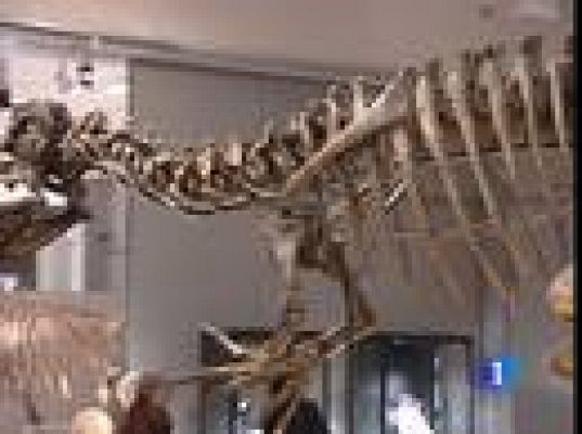  - Subasta de dinosaurios