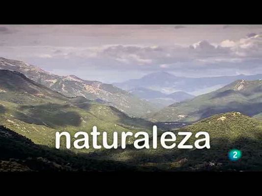 Biodiario - En Cazorla el otoño es un festival