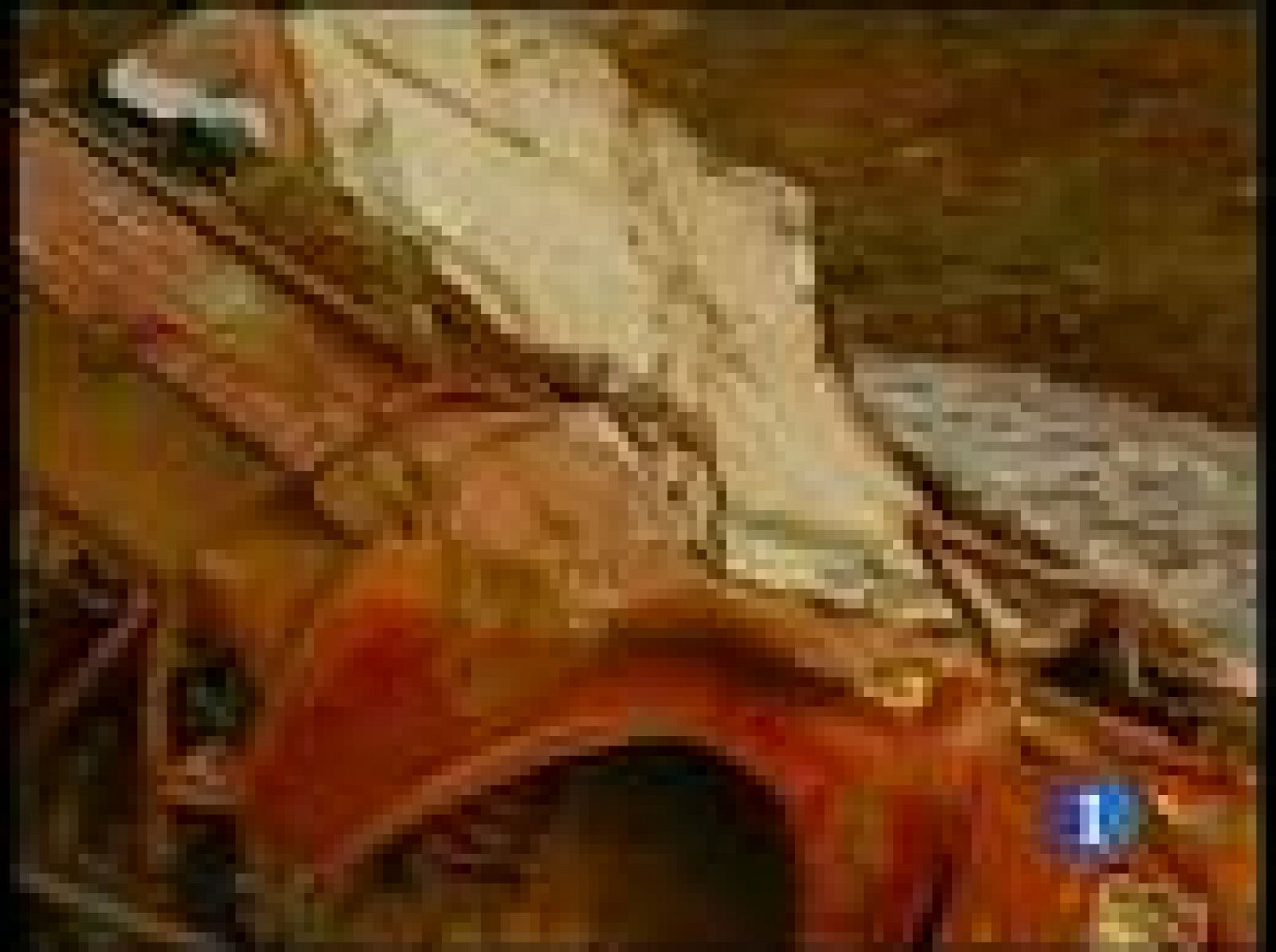 Desastre medioambiental en Hungría | Ver