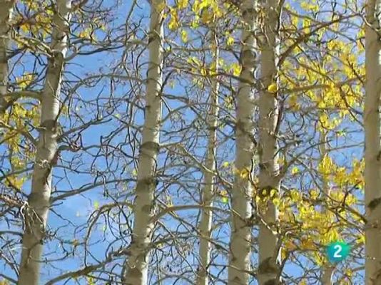 L'Informatiu - El temps (05-10-2010)