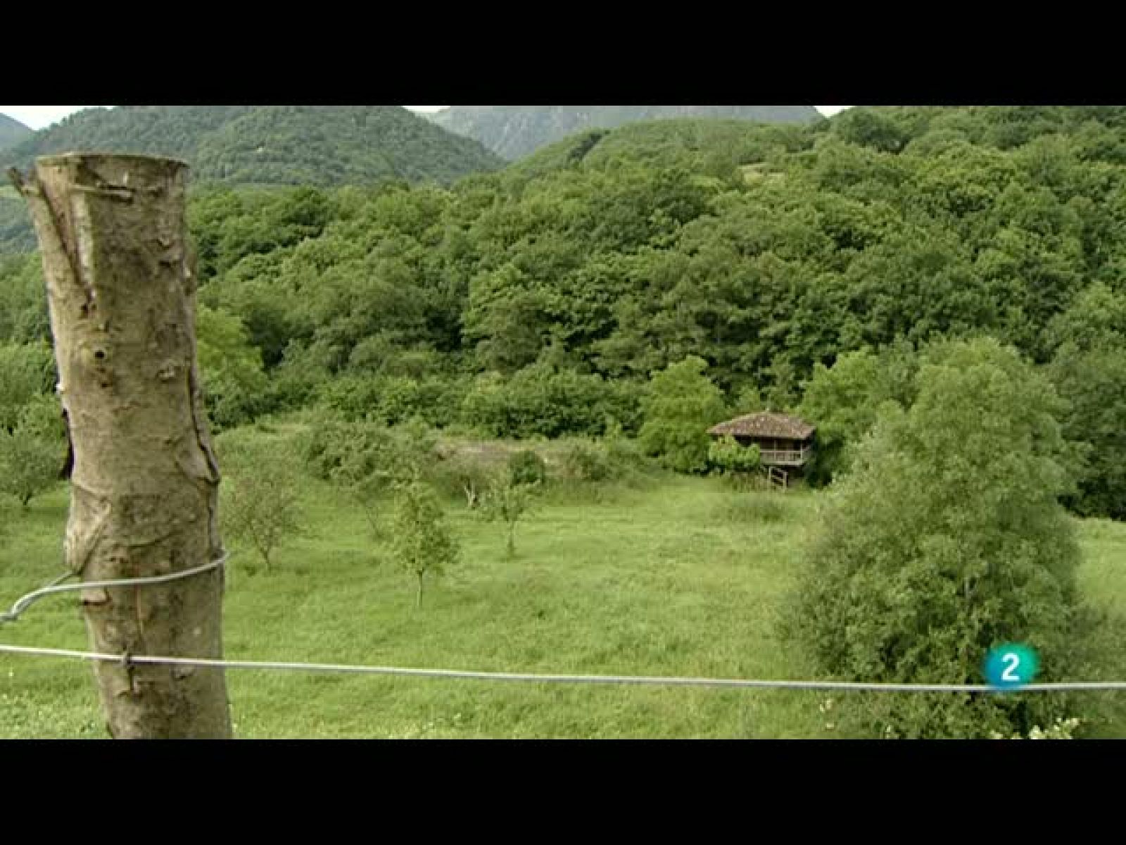 La Aventura del Saber (07/10/10)