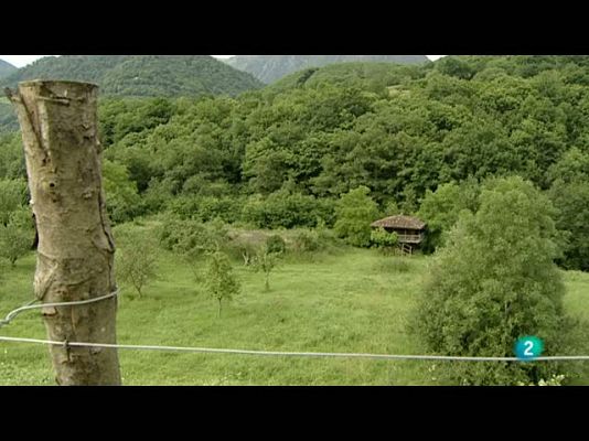 La aventura del Saber - La aventura del saber - Humanidades - 07/10/10