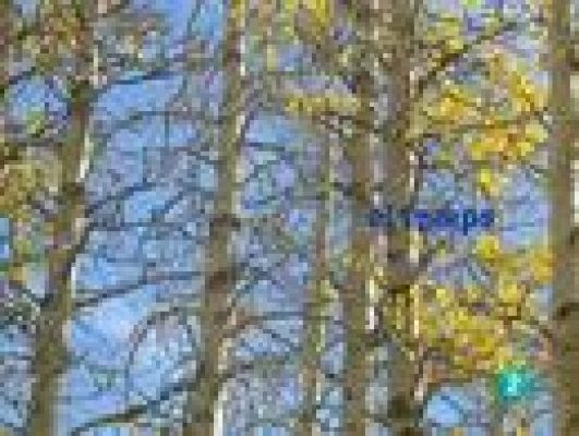 L'Informatiu - El temps en Catalunya - 07/10/10