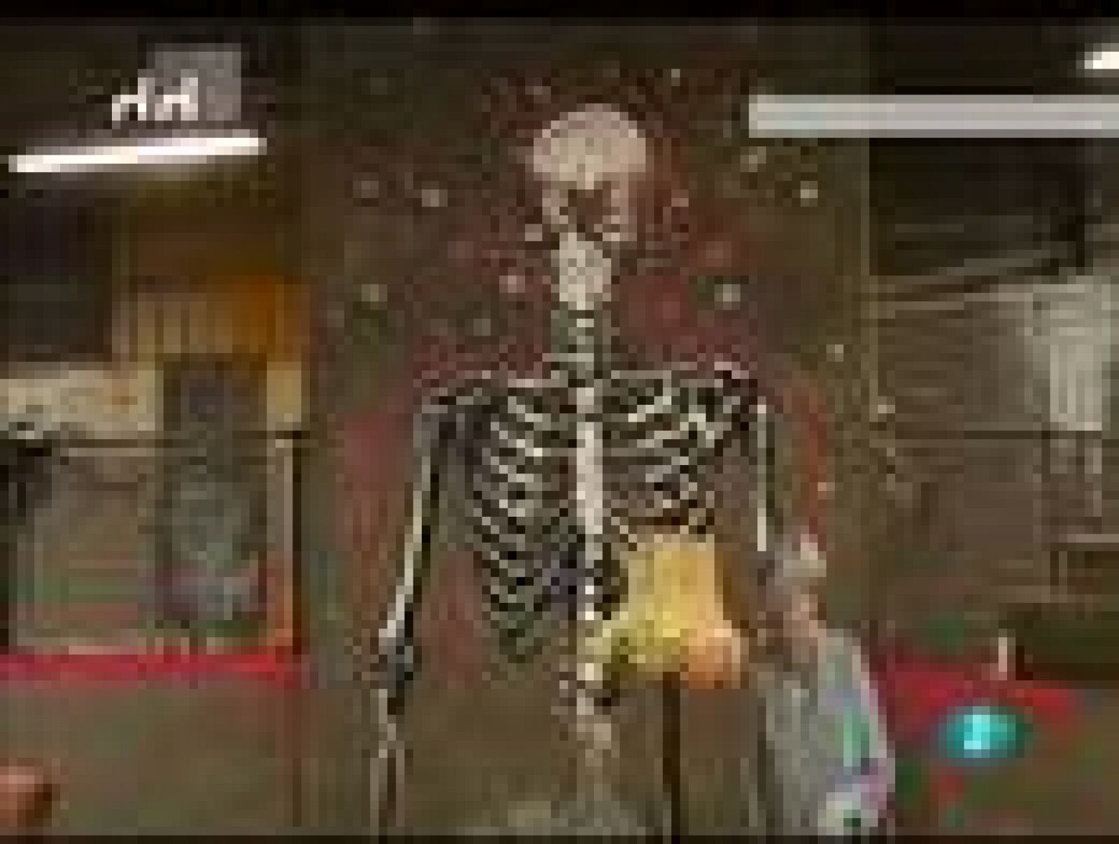 Días de cine - 'Exit through the gift shop' | Ver