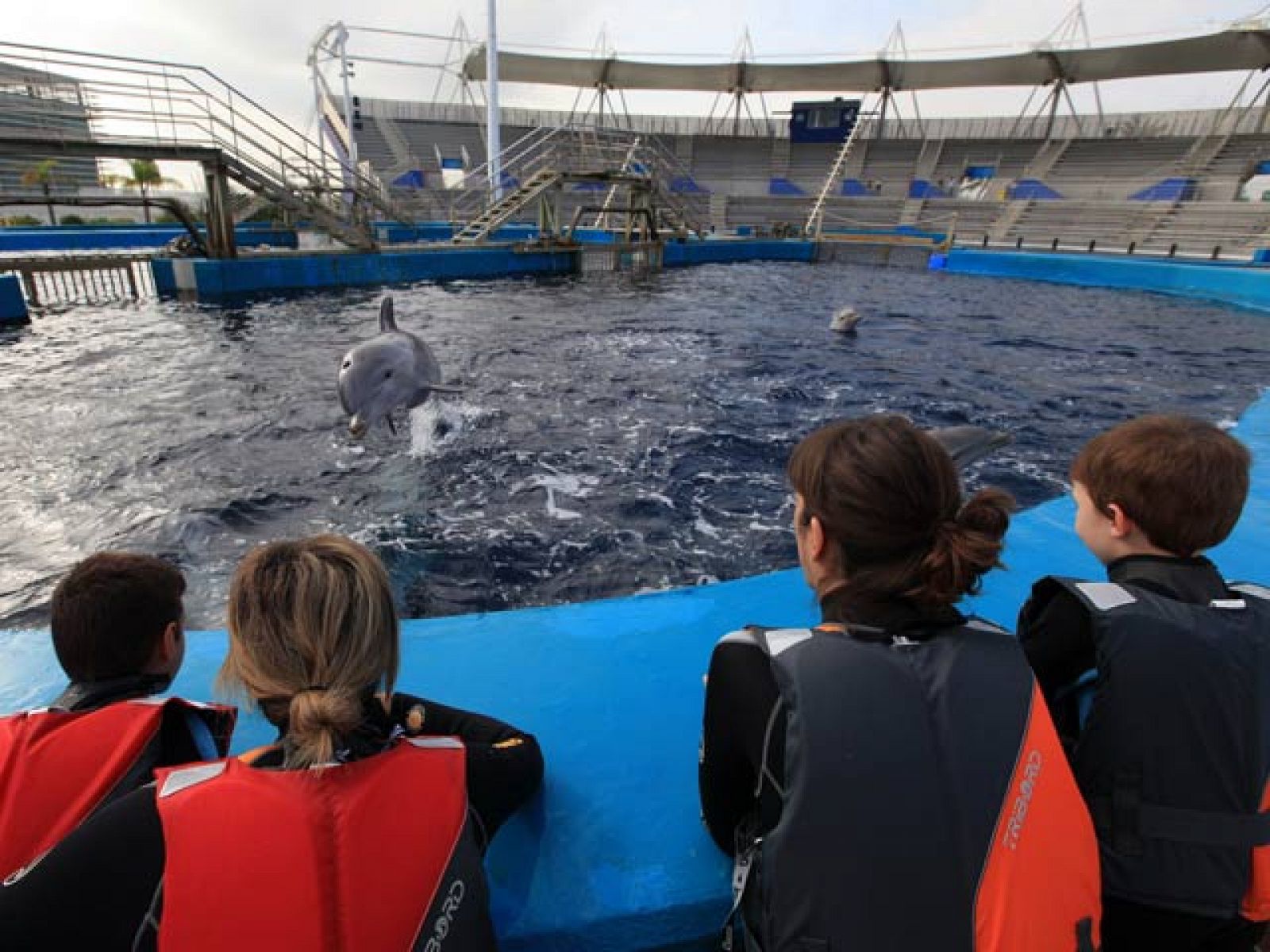 Delfinoterapia para combatir el autismo en el Oceanogràfic de Valencia