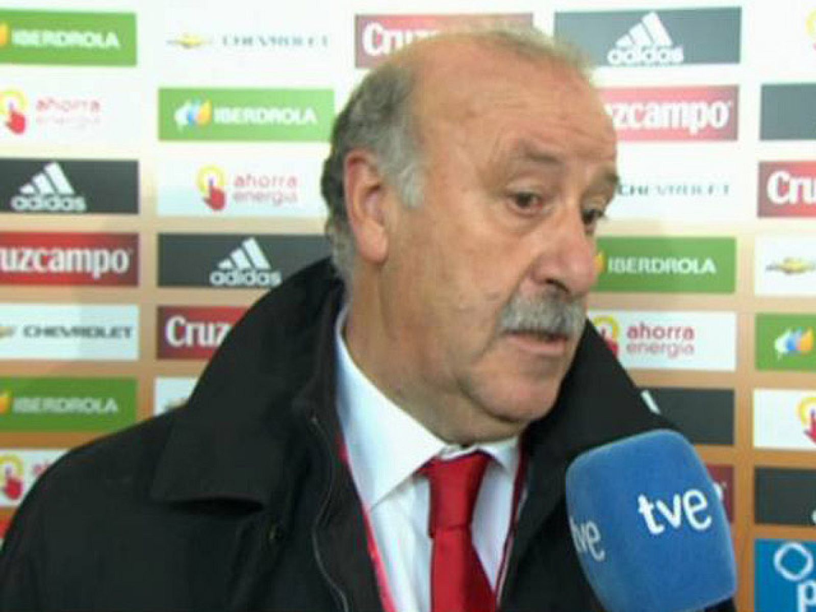El seleccionador nacional de fútbol, Vicente del Bosque, ha  señalado que España mereció el triunfo que cosechó ante Lituania  (3-1), correspondiente al Grupo 'I' de la fase de clasificación para  la Eurocopa del 2012. "Hemos merecido el triunfo. Son