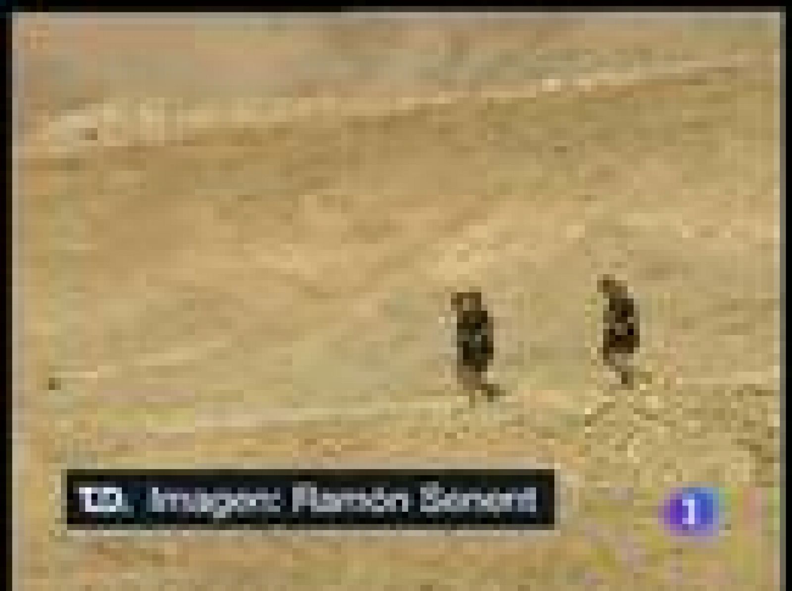 Se ultiman los trabajos de rescate de los mineros chilenos