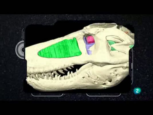 tres14 - Reconstrucción