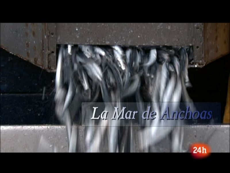 Crónicas: La mar de anchoas (10/10/10) 