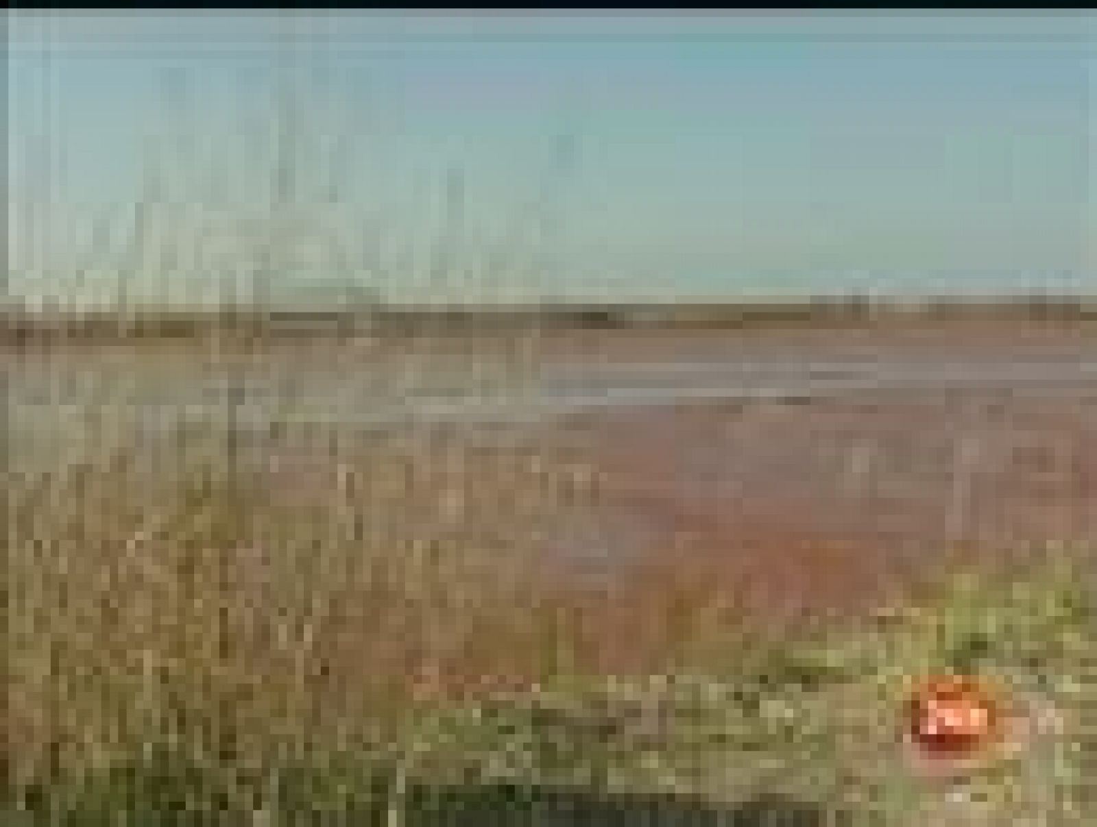 Hungría lucha contrarreloj para construir un dique de contención del vertido