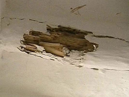 España Directo - Guerra a las termitas