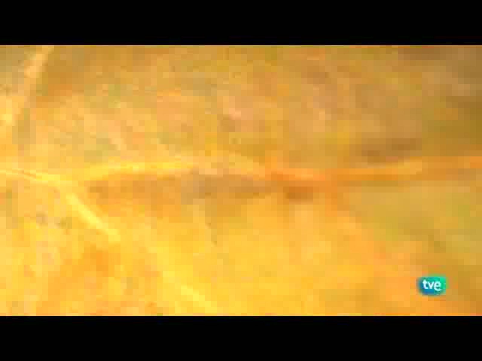 Con Visado De Calle (12/10/10)