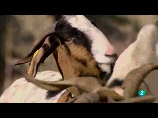 Biodiario - 13/10/10