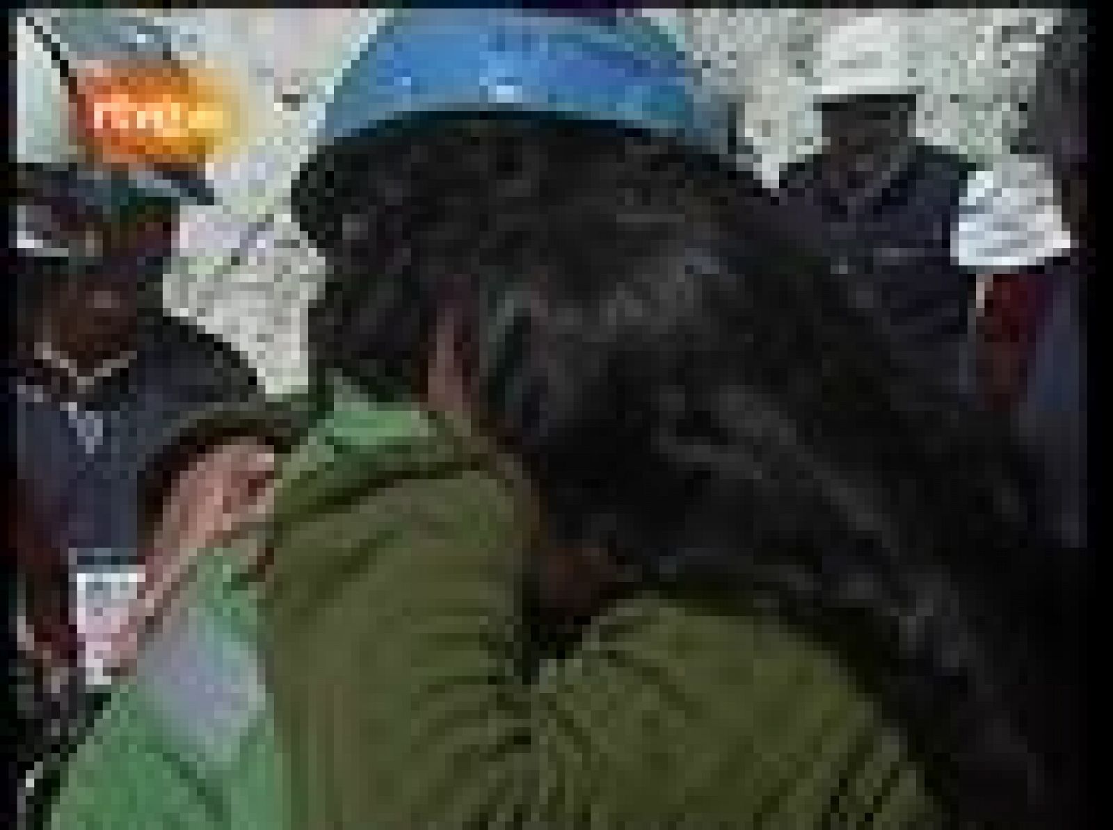 Entró con 33 años y salió con 34. El minero se abraza a su mujer que está embarazada de tres meses.
