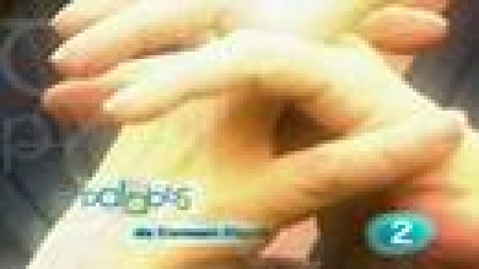 Palabra por palabra - Carmen Rigalt - Palabra por palabra | Ver