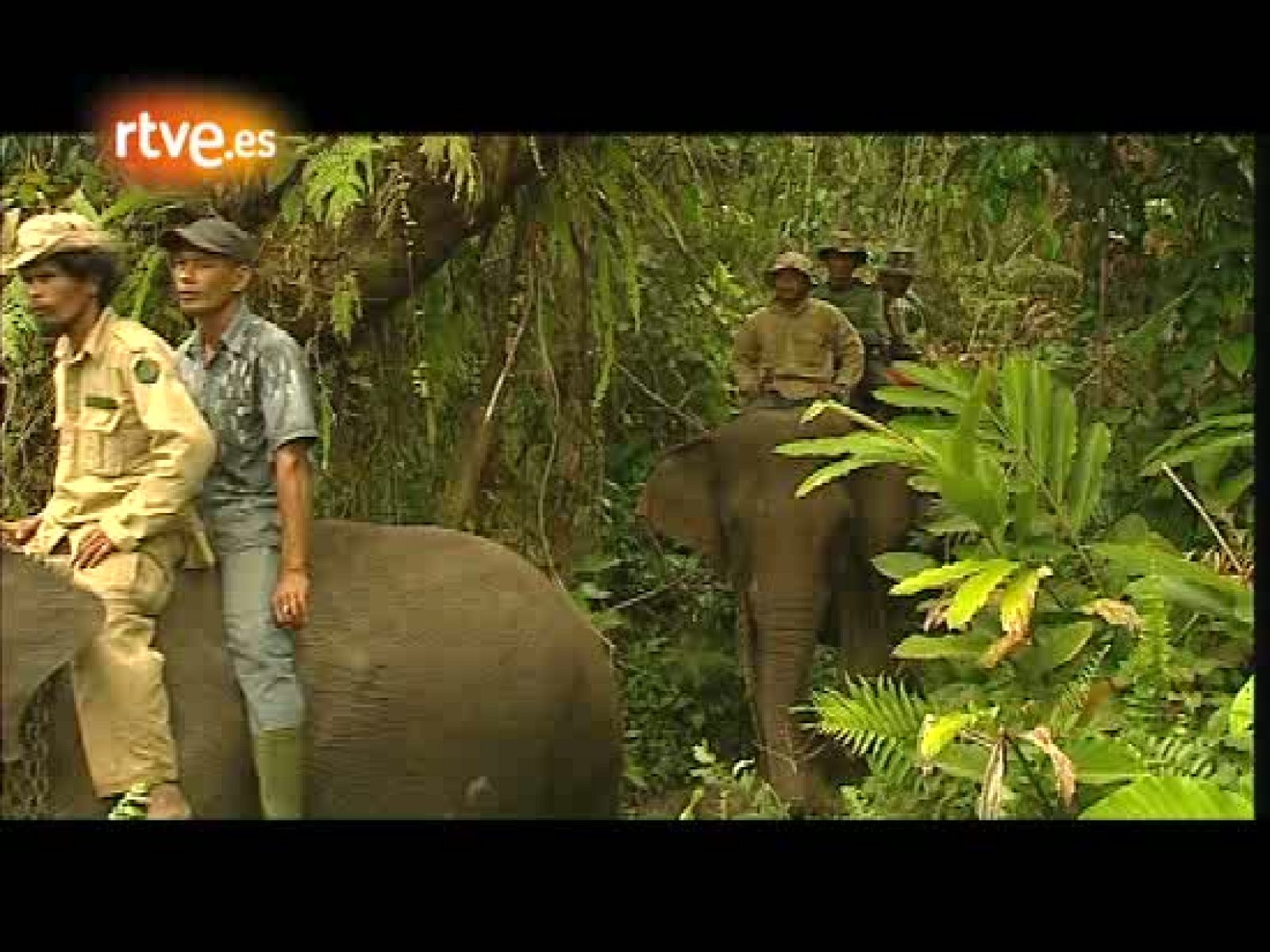 En portada - La ola que trajo la paz