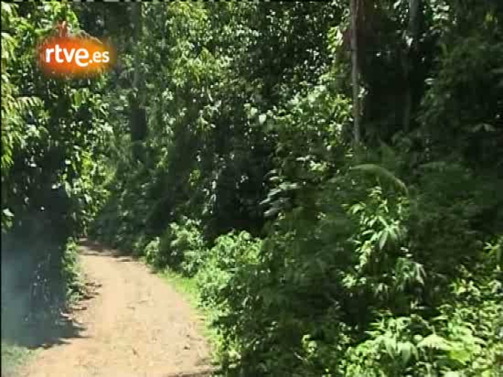 En portada - Así se hizo 'La ola que trajo la paz'