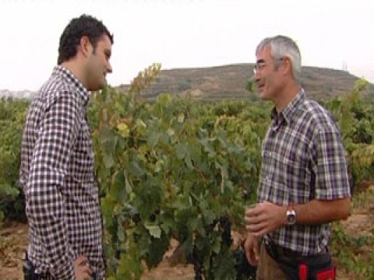 Comando Actualidad - Haro, La Rioja