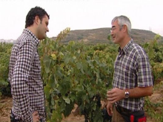 Comando Actualidad - Haro, La Rioja