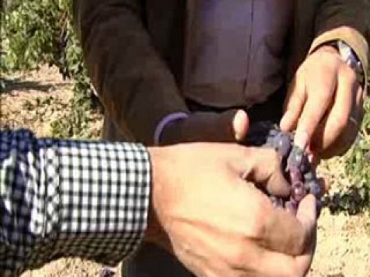 Comando Actualidad - Valbuena de Duero