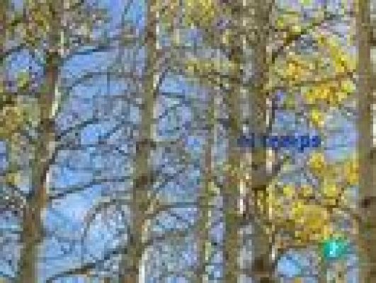 L'Informatiu - El temps en Catalunya - 14/10/10