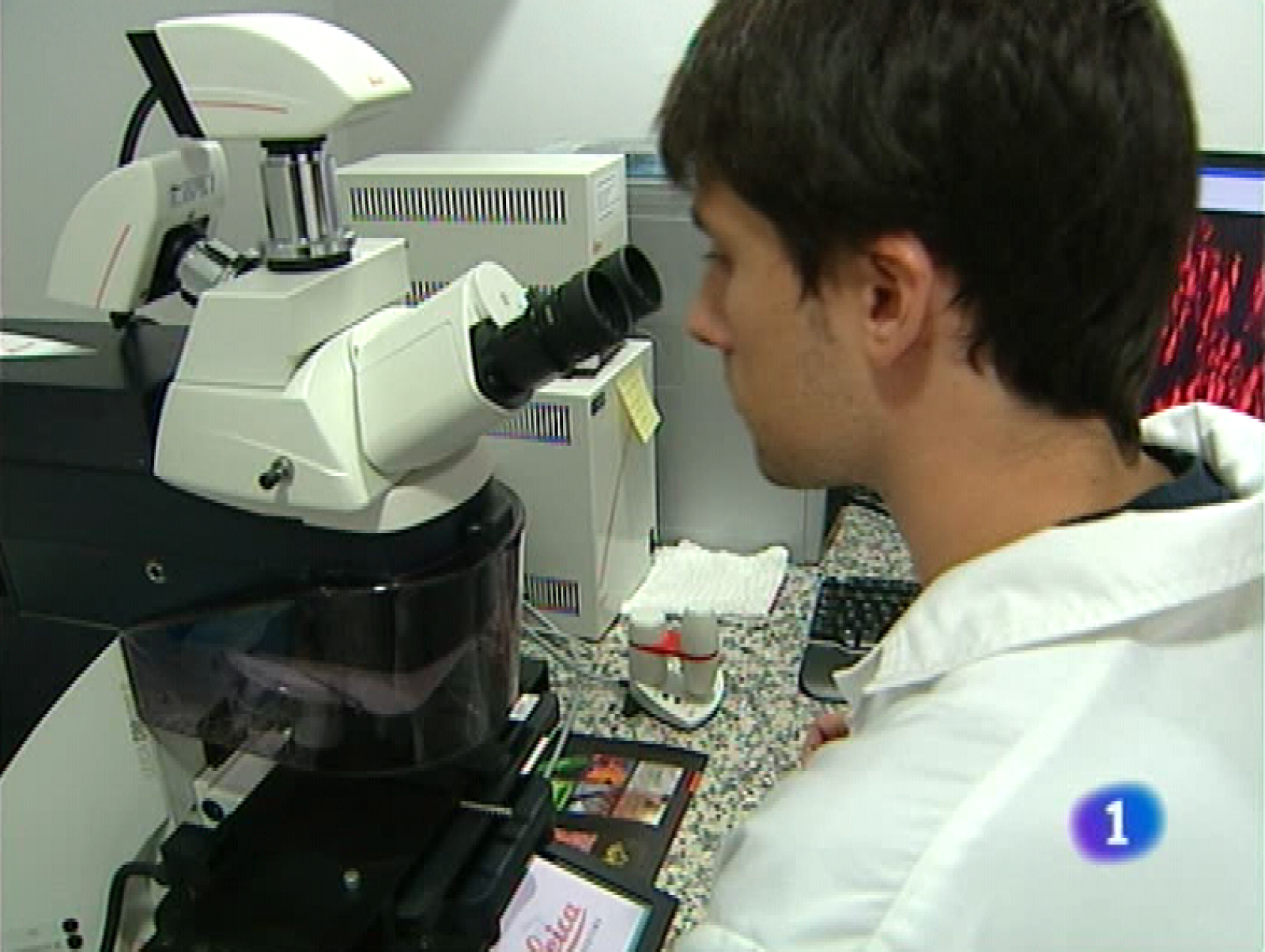 Panorama regional - 15/10/10 - Panorama Regional | Ver