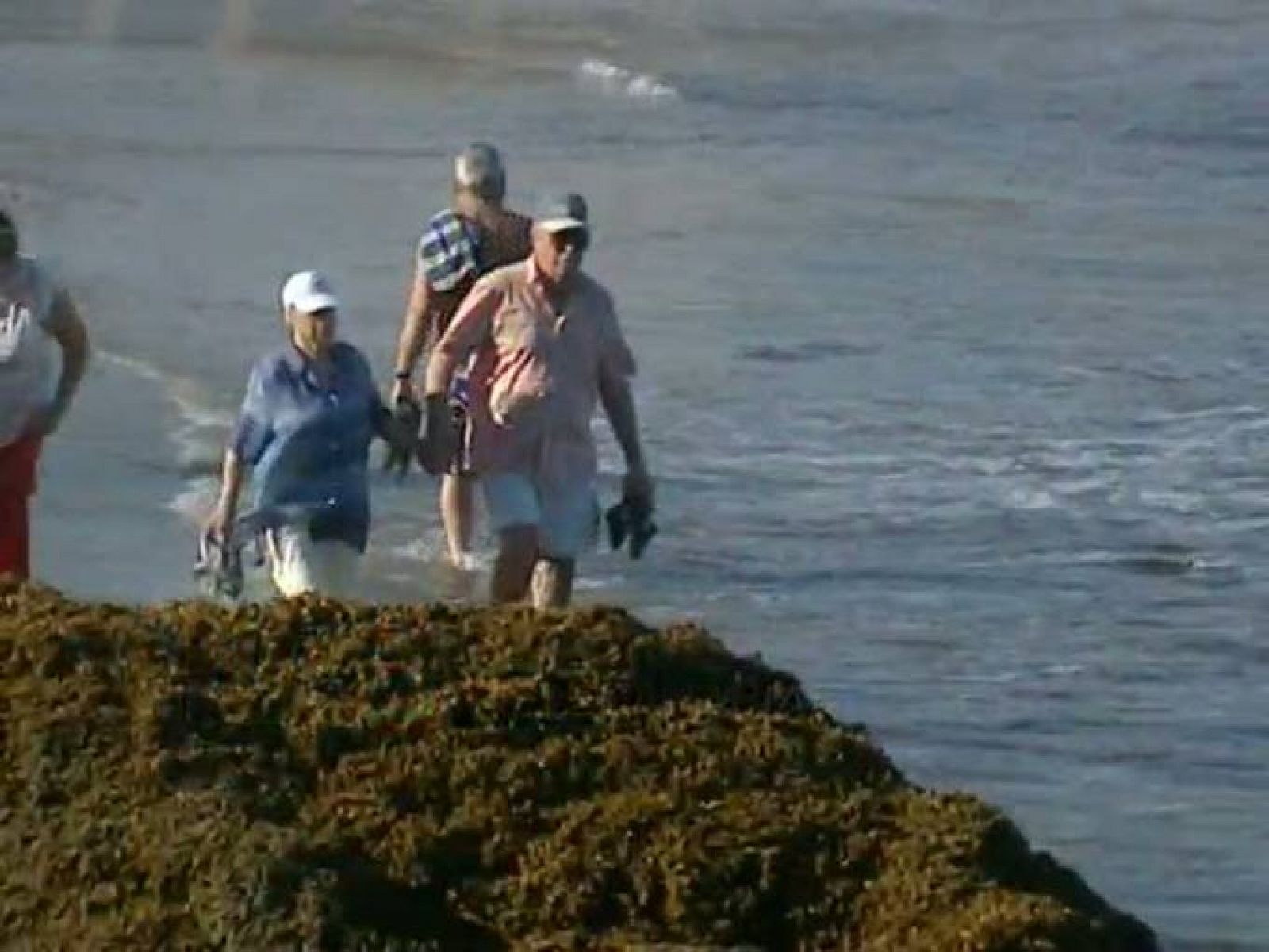 Telecanarias - 15/10/10 - Telecanarias | Ver