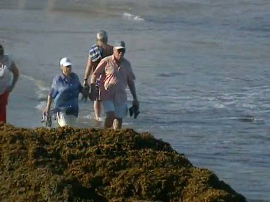 Telecanarias - Telecanarias - 15/10/10