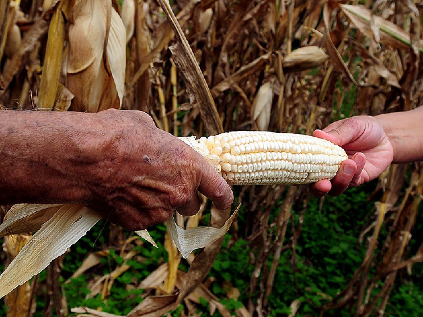 Informe Semanal: Unidos contra el hambre