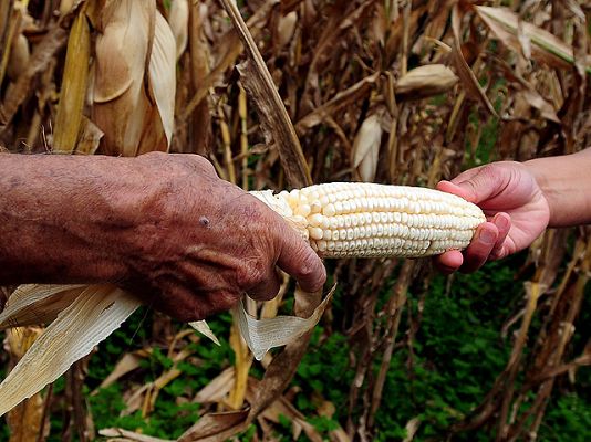 Informe Semanal - Unidos contra el hambre