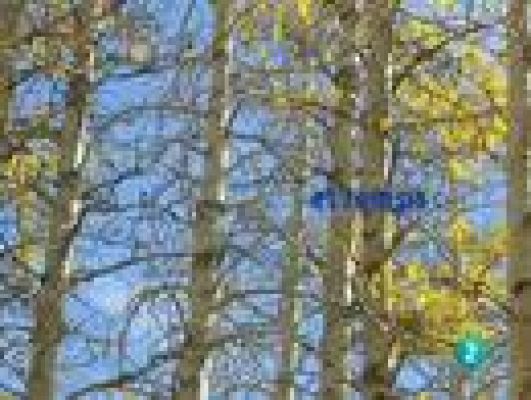 L'Informatiu - El temps en Catalunya - 15/10/10