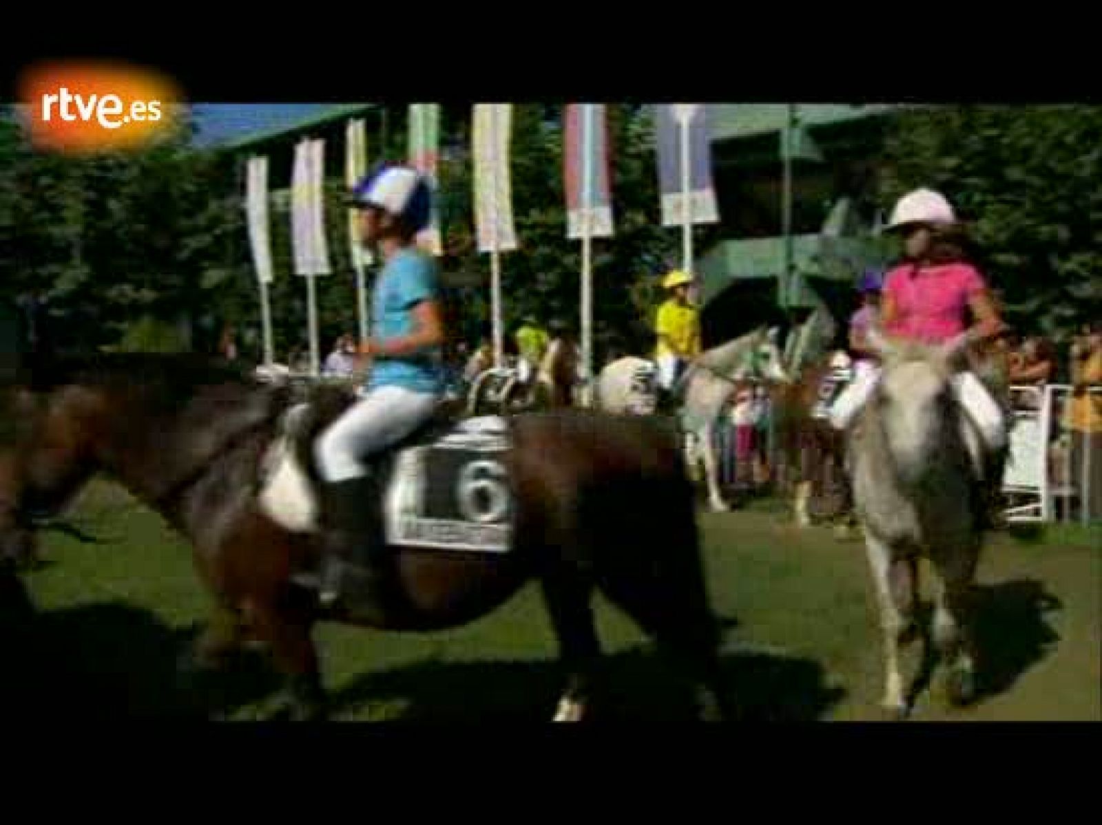 Crónicas - Nacidos para correr. Savater y el carácter popular de los hipódromos - Crónicas | Ver