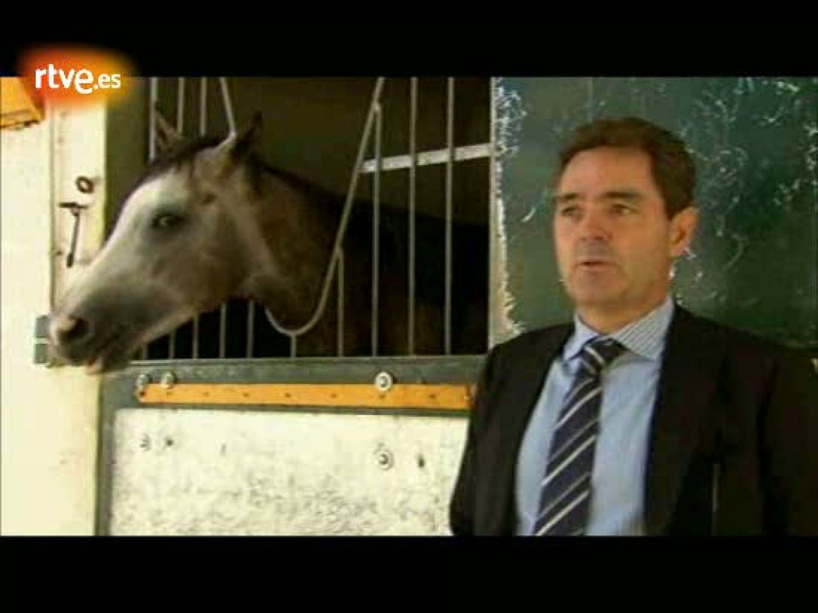 Crónicas - Nacidos para correr. Carreras de caballos, un mundo de emociones - Crónicas | Ver