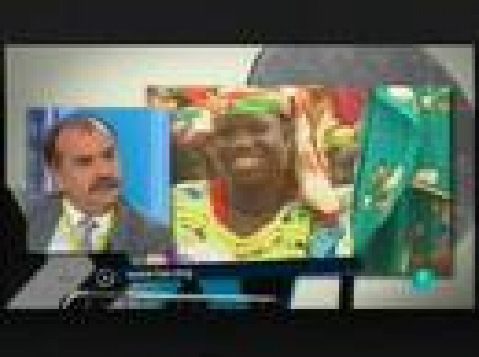 Entrevista ong FAO