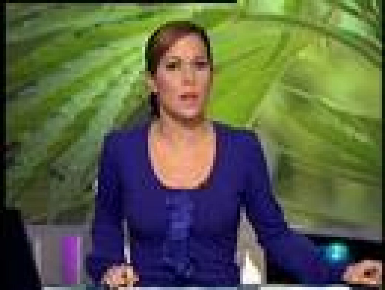 California podría legalizar la marihuana | Ver